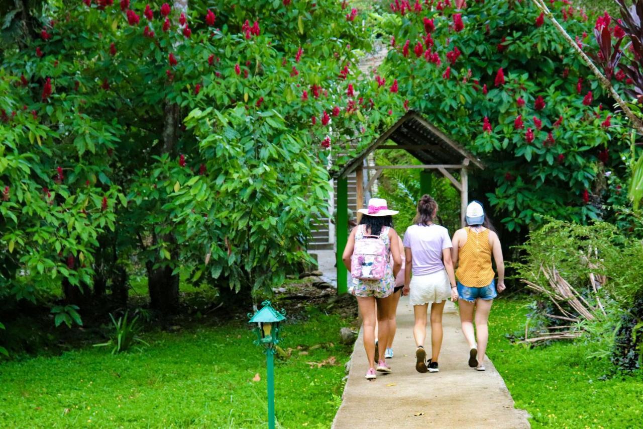 Suchipakari Amazon Eco -Lodge & Jungle Reserve Puerto Misahuallí エクステリア 写真