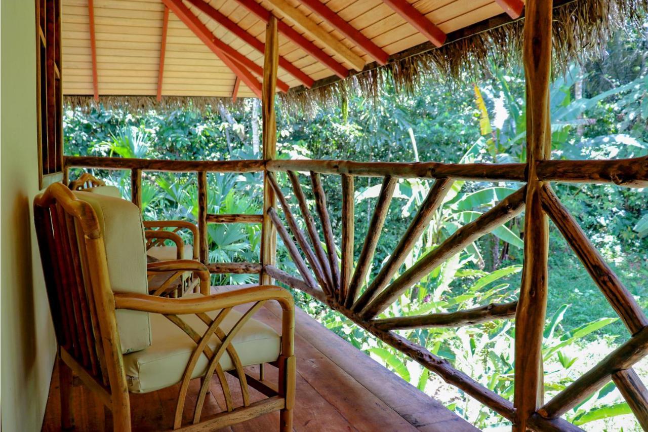Suchipakari Amazon Eco -Lodge & Jungle Reserve Puerto Misahuallí エクステリア 写真