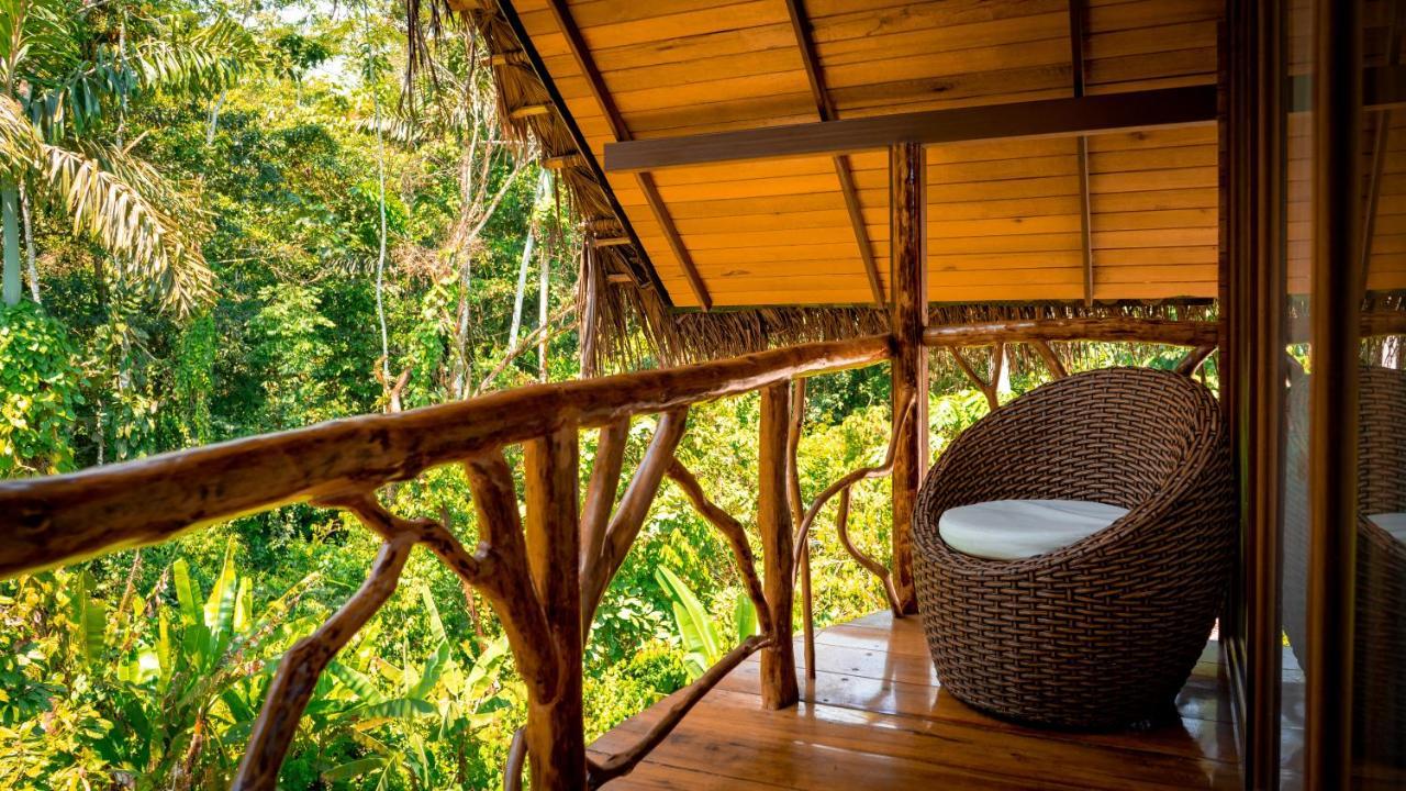 Suchipakari Amazon Eco -Lodge & Jungle Reserve Puerto Misahuallí エクステリア 写真