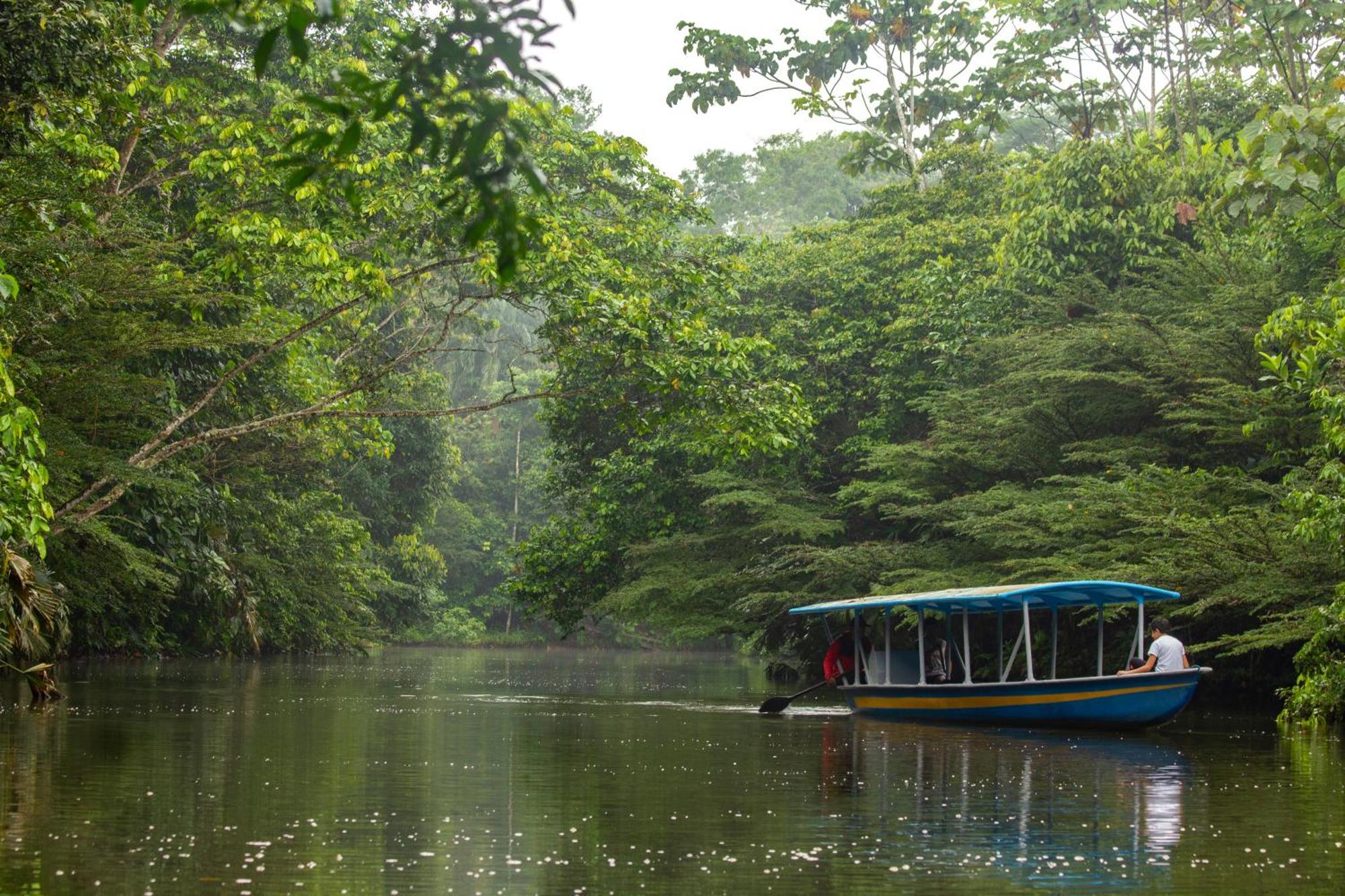 Suchipakari Amazon Eco -Lodge & Jungle Reserve Puerto Misahuallí エクステリア 写真
