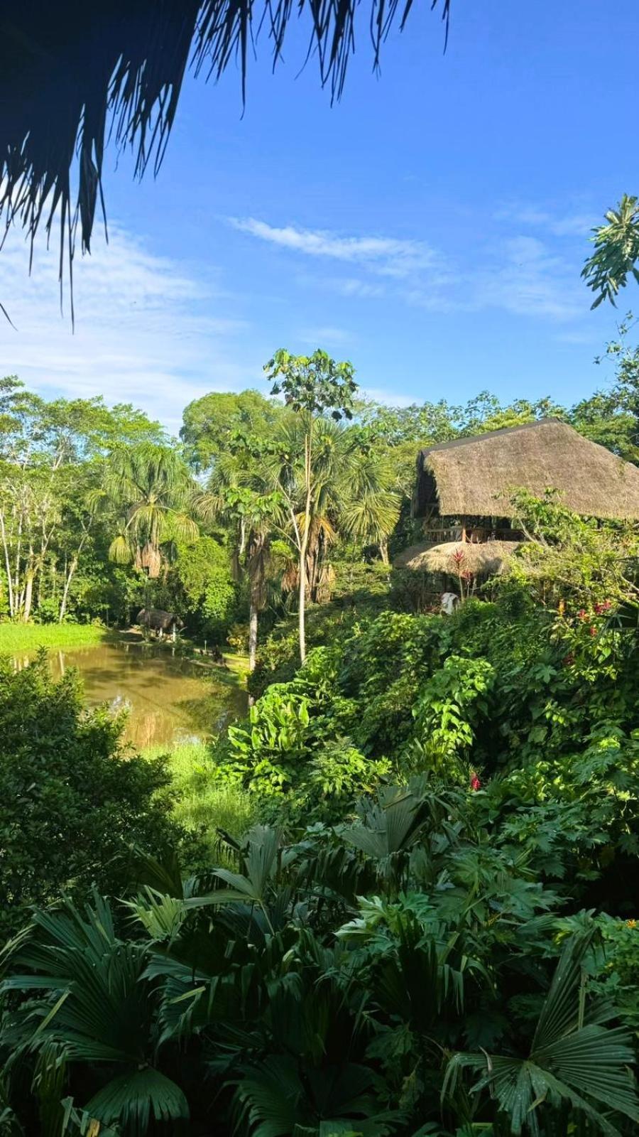 Suchipakari Amazon Eco -Lodge & Jungle Reserve Puerto Misahuallí エクステリア 写真
