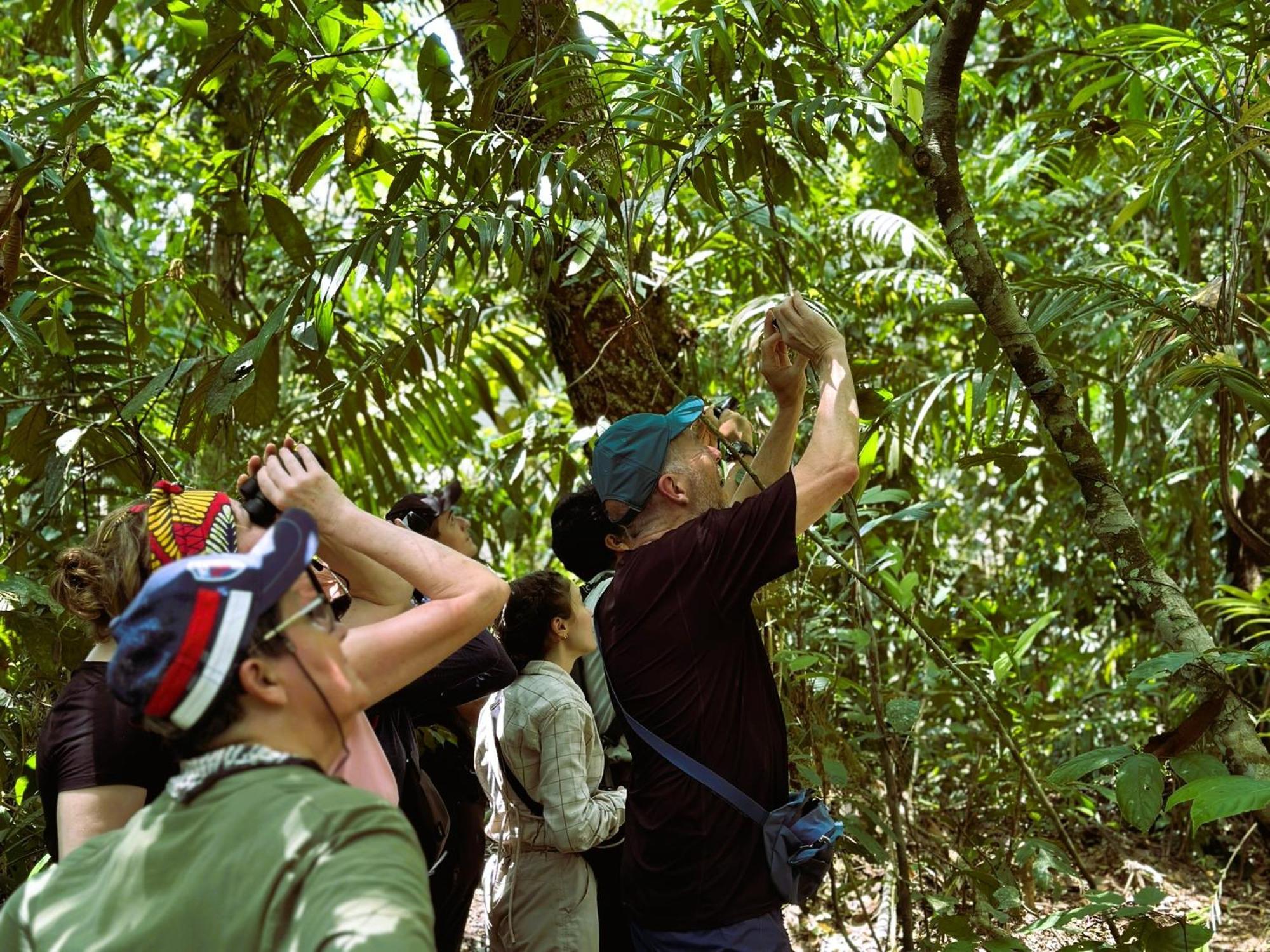 Suchipakari Amazon Eco -Lodge & Jungle Reserve Puerto Misahuallí エクステリア 写真